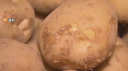 “茹でジャガイモ”で食中毒　教師が自宅保管→日光当たり有毒「ソラニン」増加か　調理実習で児童20人が症状訴え