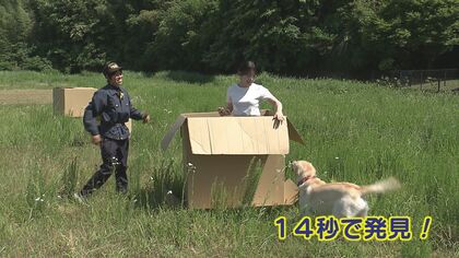 【豪華・大迫力！】警察犬プレート(流通は最後かも？) tmrごっこ #犬 #風 #highpressure #tmrevolution #tmrevolution