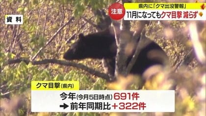 体長約50cmのクマが小学校のグラウンドに！ 目撃情報減らず