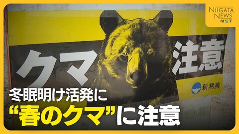 山菜採りシーズン“クマ”との遭遇に注意を「クマも山菜食べに来る」 音を出す物の携帯や複数人での活動が重要に
