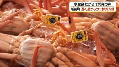 「越前がに」の基準満たさないカニが混入か　越前町がふるさと納税返礼品からカニ関連商品すべて除外へ　地元業者は強く反発