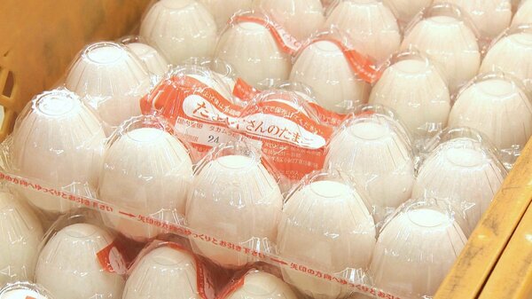 月見フェア”が影響!?“卵”の高騰続く「去年より40円高く…」 長ネギ・秋