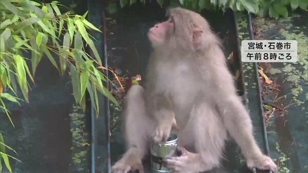 img_dc7f67b1c3044e31b7b6dd3e8e