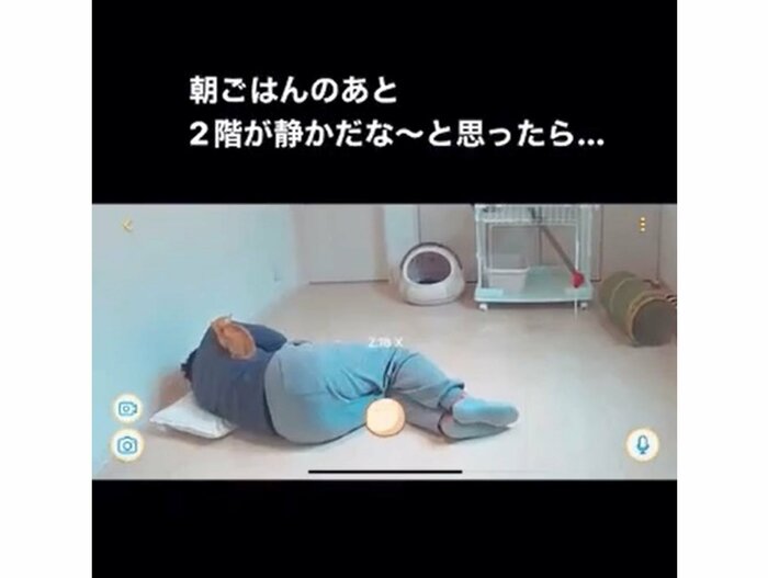 提供:oimo210さん