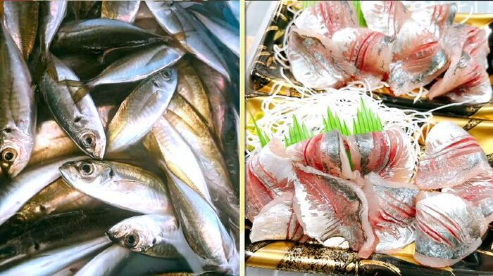 サクラエビと並ぶ由比名物「倉沢のアジ」