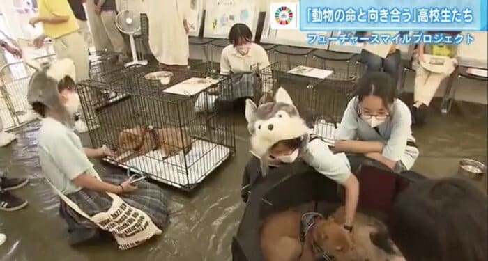 保護された動物を世話する、進徳女子高校の動物愛護サークル