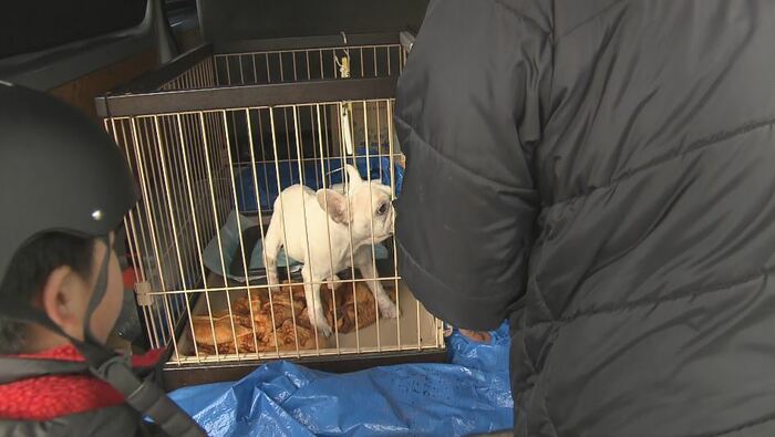 車の中で犬を…(七尾市・1月10日)