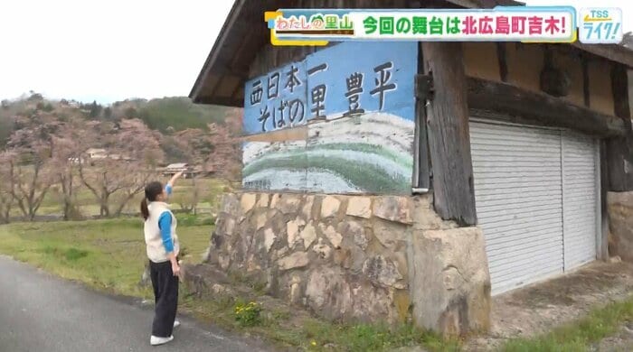 北広島町合併前は旧豊平町。そばが有名。