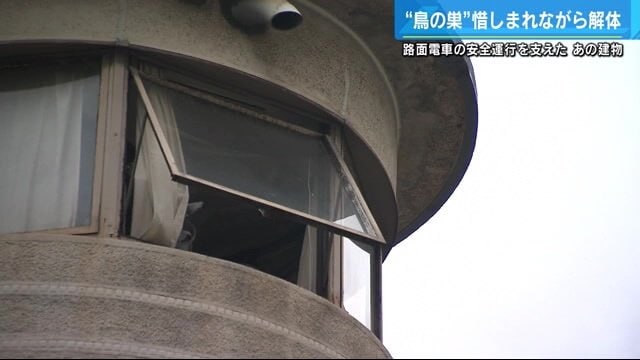 鳥の雛のように顔を出す姿から愛称“鳥の巣”