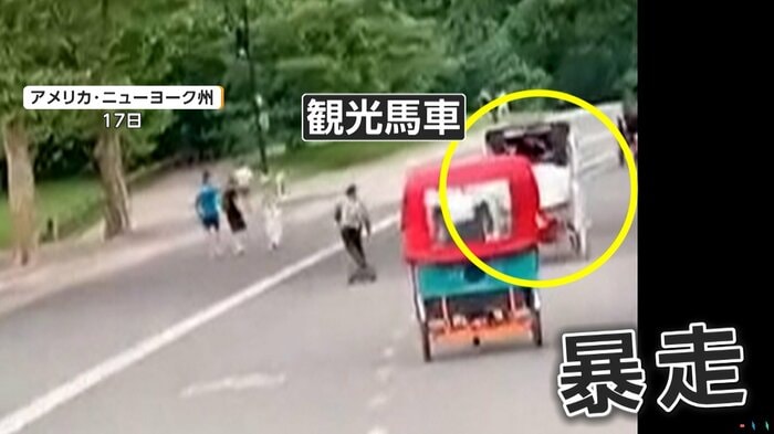 客を乗せたまま暴走した観光馬車（THIERRY ALEX DAMITE KINI）