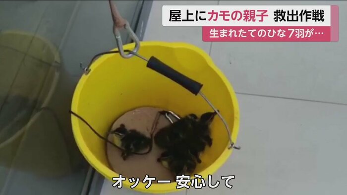 救出した男性が、優しく声をかける