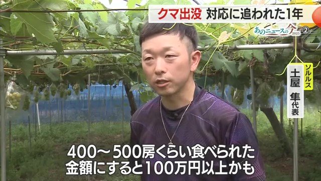 額にすると大きな損失だが、「山の中の畑だから共存するしかない」と話していたソルルス土屋代表