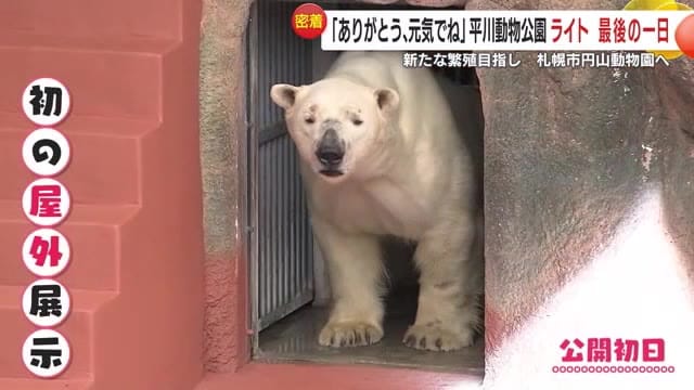 緊張気味?の初日