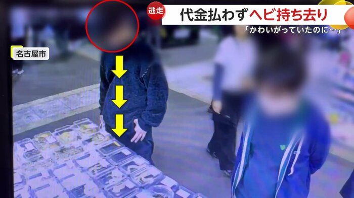 ヘビを品定めする男