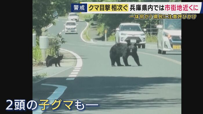 京都府京丹後市のインターチェンジ付近にクマ出没