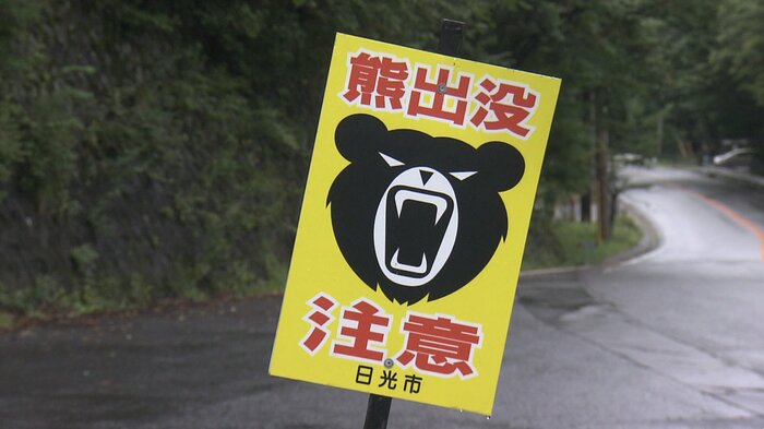 熊出没注意の看板
