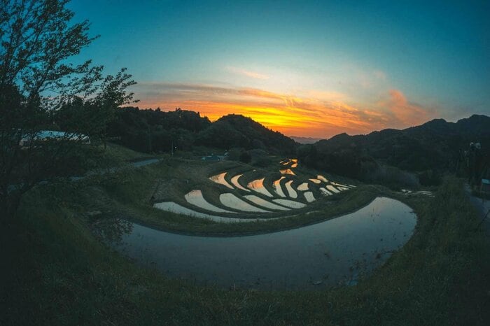 千葉県　大山千枚田（2024年4月撮影）