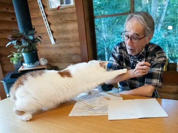 メイくんが突然パンチ!(提供:MARCOさん)