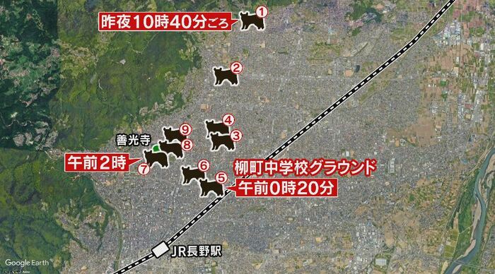 目撃情報