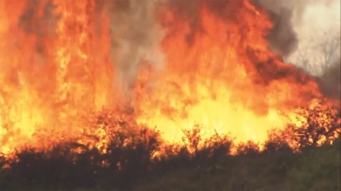 東京都約2倍焼失の山火事 原因は50度超“異常気象”と「雷」