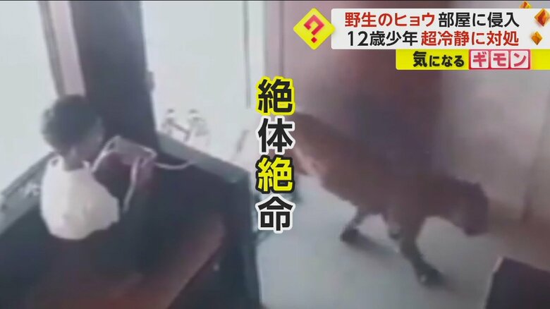 招かれざる客にも超冷静　目の前に現れた“ヒョウ”に叫び声も上げず対処　スゴすぎる12歳の少年　インド｜FNNプライムオンライン