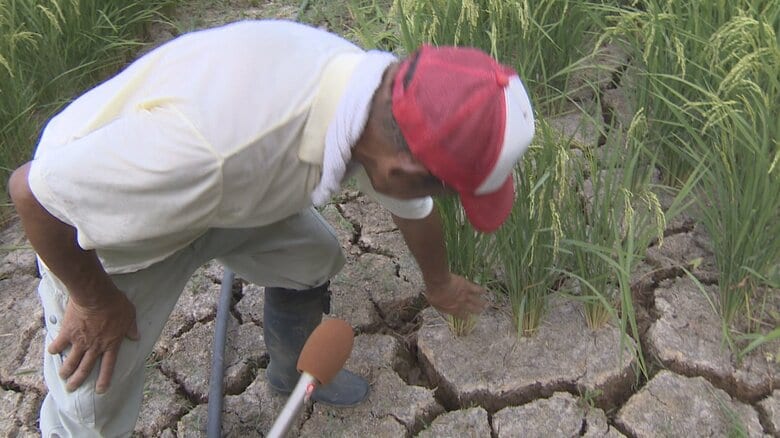 「最悪の状態」富山の田んぼ、記録的少雨で土壌にひび割れ　砺波市が異例の給水車83台を緊急出動｜FNNプライムオンライン