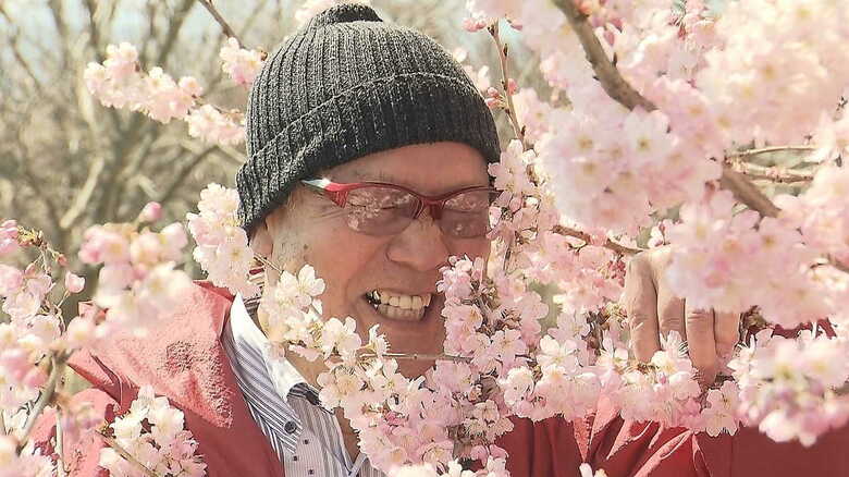 ひときわ甘く香る「春めき」　五感で感じる桜との出会い｜FNNプライムオンライン