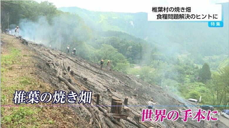 「世界の食糧問題の解決に繋がるかもしれない」雑穀を育てながら、山の再生をしていく 椎葉村の伝統農法「焼き畑」を問題解決のヒントに｜FNNプライムオンライン