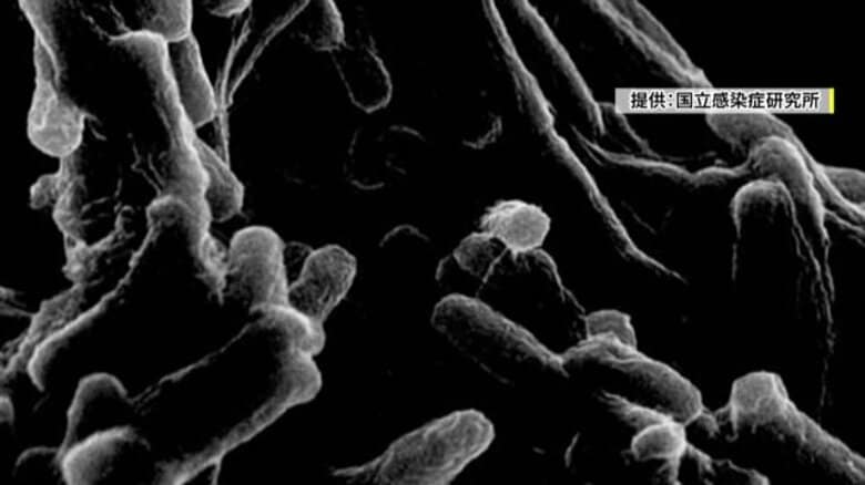 昔の病気ではない！？　34人…結核の集団感染　現代では“薬を飲めば治る病気”　2週間以上せきが続く場合は受診を｜FNNプライムオンライン