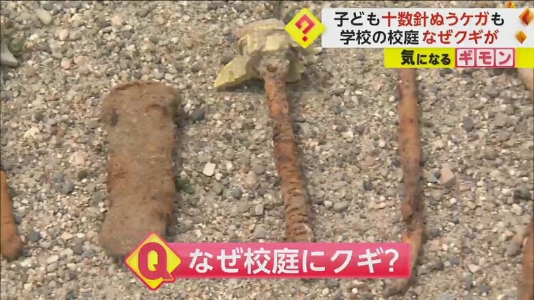 【校庭にクギ】教育委員会“金属探知機”で調査実施　40分で7本発見　運動会などで使用しそのまま残る　宮城・岩沼市｜FNNプライムオンライン