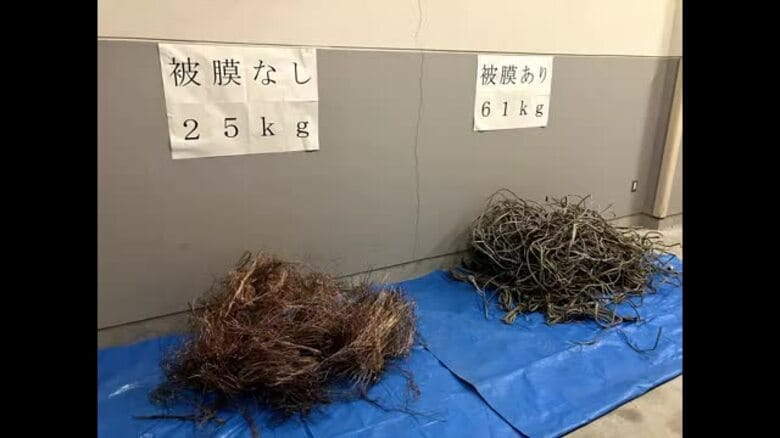 松山の解体工事会社から銅線８６キロ盗む　会社員の男逮捕　換金目的か　金属買取り業者に持ち込む【愛媛】｜FNNプライムオンライン