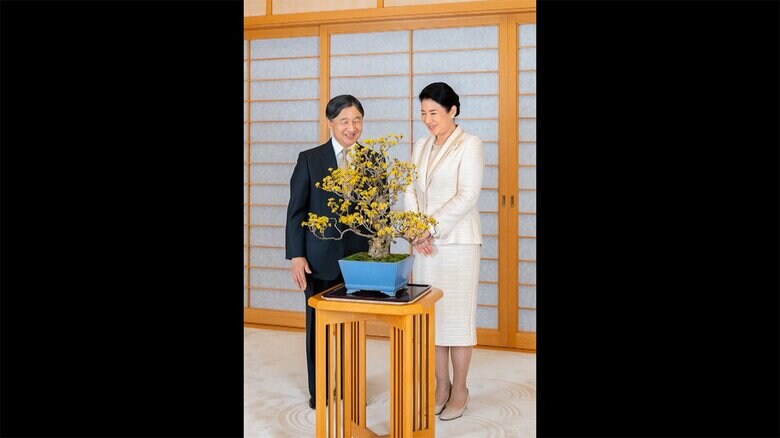 「サンシュユ」を眺めながら談笑される両陛下(宮内庁提供)