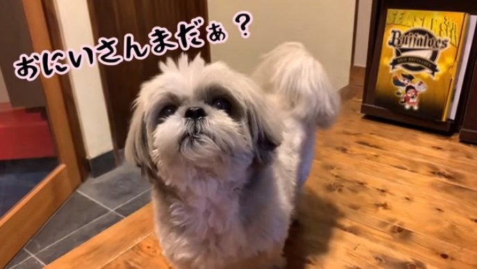 「配送のお兄さん」が来るのを待つてんぽくん