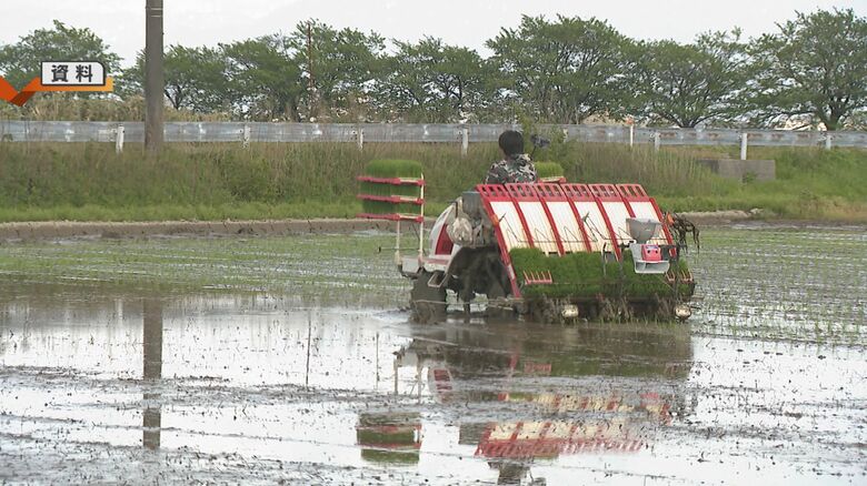 一般的な水稲栽培