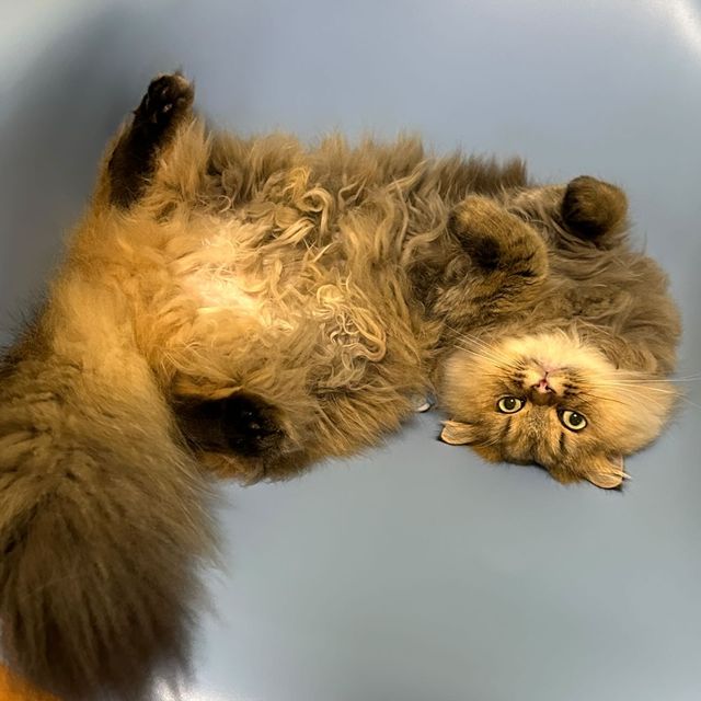 提供：ひなたさん