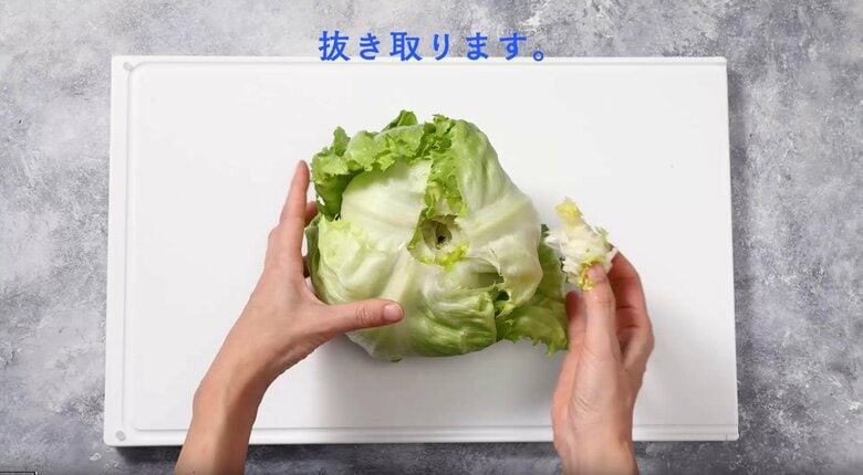 左右に少しずつ動かしながら芯を抜き取る（画像提供：貝印）