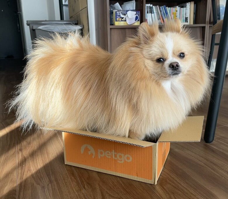 段ボール箱　サイズアウト…