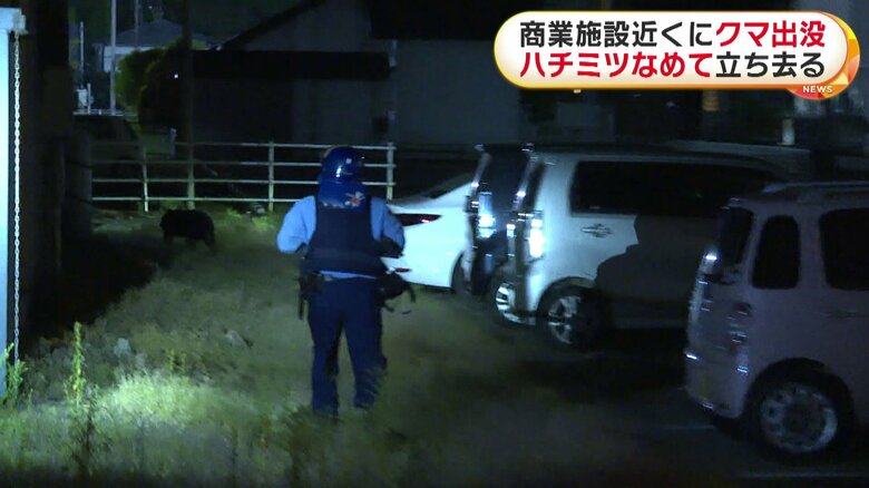 クマは川の方向へ走り去った