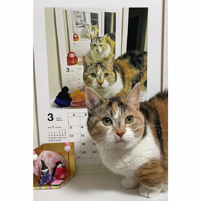 はなちゃんが繰り返し存在している不思議な構図