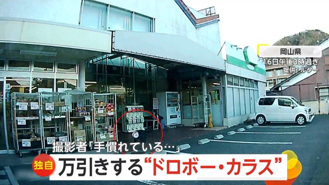 カラスが店頭のカップ麺をくわえて飛び立つ瞬間（16日午後3時過ぎ、岡山県のスーパーマーケット）④