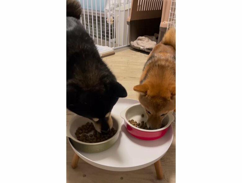 提供：まめふく&ゆめくりさん