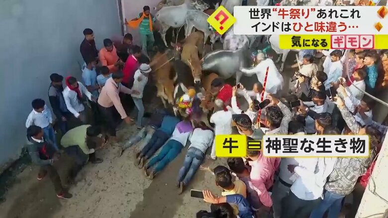 牛に踏みつけられている人たちを多くの人が見物