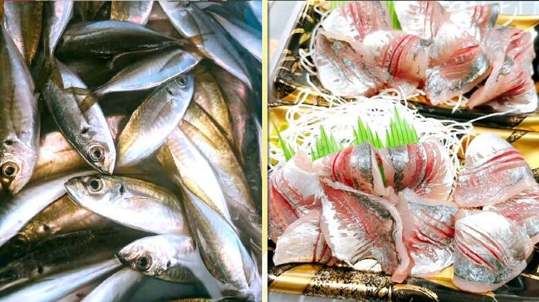 サクラエビと並ぶ由比名物「倉沢のアジ」