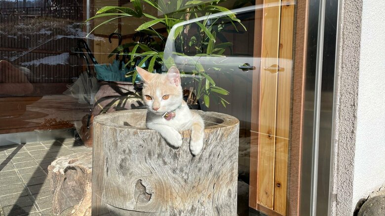 お客さんを出迎えているよう