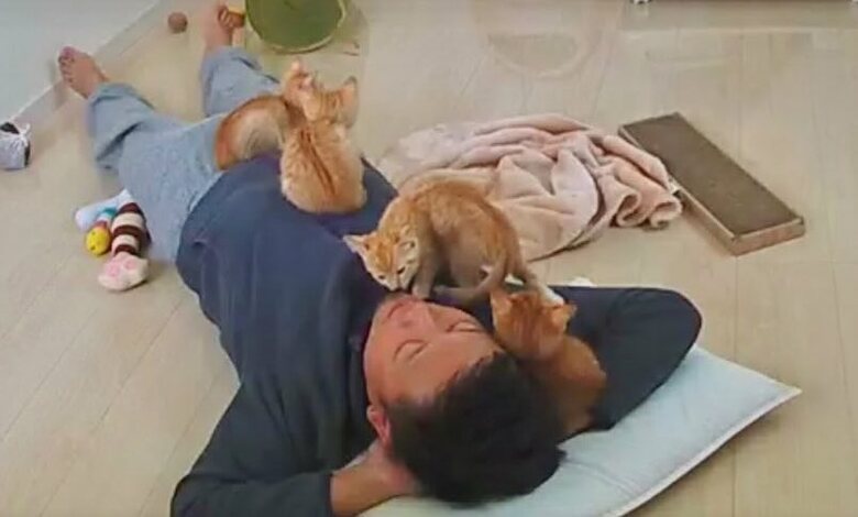 提供：oimo & yuzukiさん