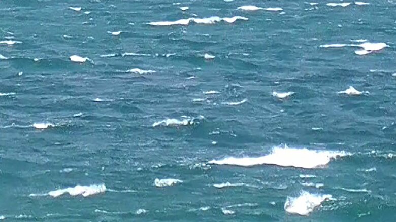 泳いではいけない“白波”（提供：日本水難救済会）