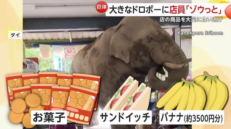 たくさんのお菓子やバナナを食べたゾウ