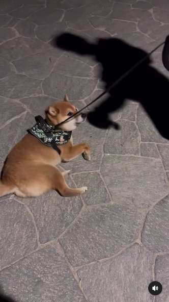 提供：カンさん