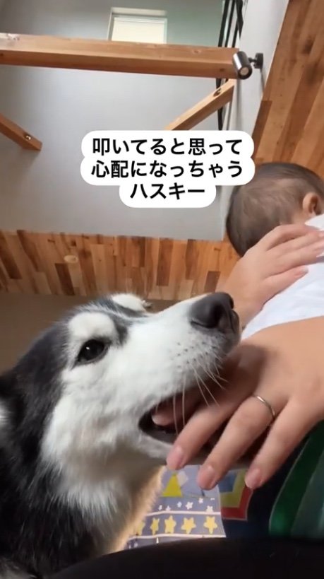 提供：akariさん