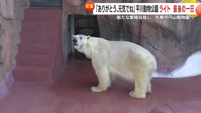 名残惜しそう